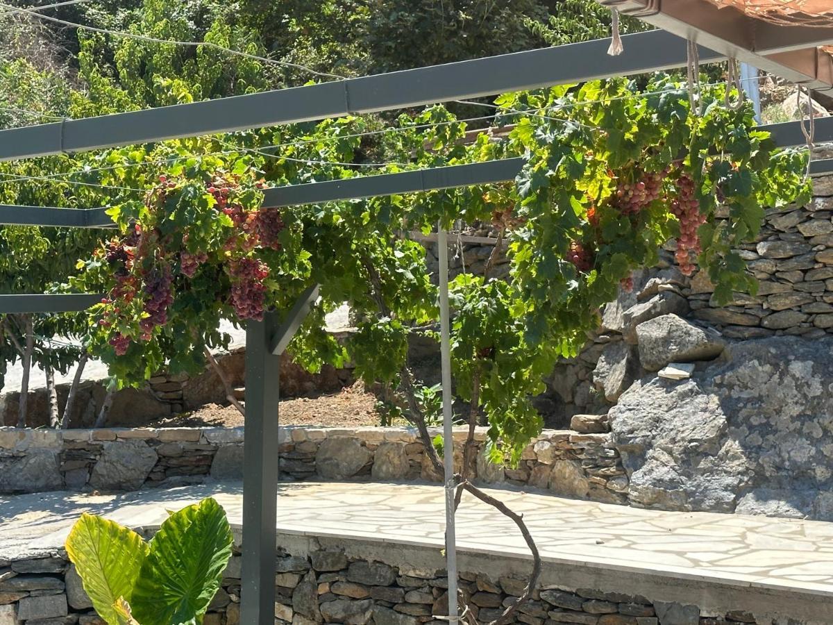 Maroudio's Holiday home Livadaki (Samos)