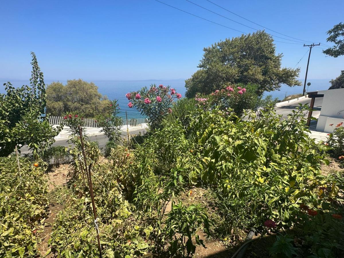 Maroudio's Holiday home Livadaki (Samos)