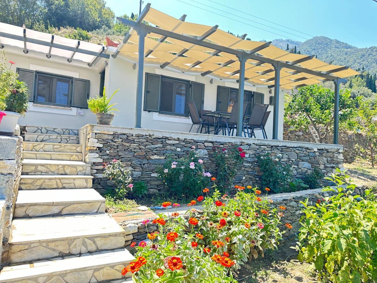 Maroudio's Holiday home Livadaki (Samos)